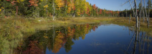 Katahdin Woods and Waters First Marsh Reflection