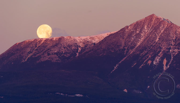 A large moon rises behind snow-capped mountains, casting a serene glow in a pastel sky.