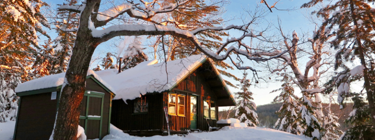 A cozy cabin blanketed in snow, surrounded by tall trees and bathed in warm afternoon light.
