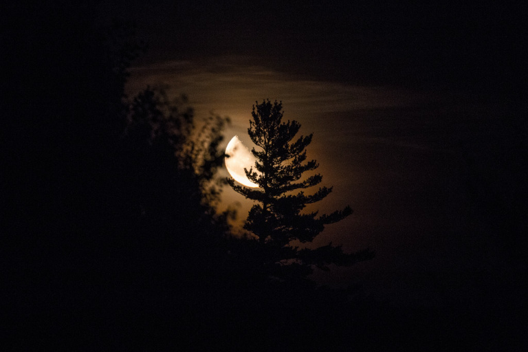 Silhouette of a tree against a glowing moon in a dark sky, surrounded by soft clouds.
