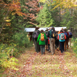 A group of hikers approaching covered shelter.