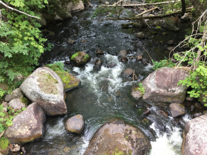 Katahdin Brook aerial view