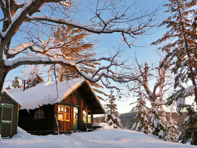 Cozy wooden cabin surrounded by snow-covered trees under a clear blue sky with warm sunlight illuminating the scene.