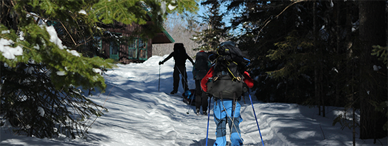 A group of people trek through a snowy path in a forest, approaching a cabin surrounded by trees.