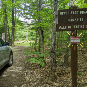 Parked car and campsite signage surrounded by leafy trees.
