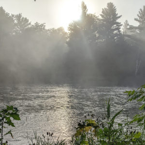 Sunlight shining through mist over a river.