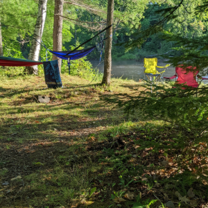 Hammocks strung on trees near a river.