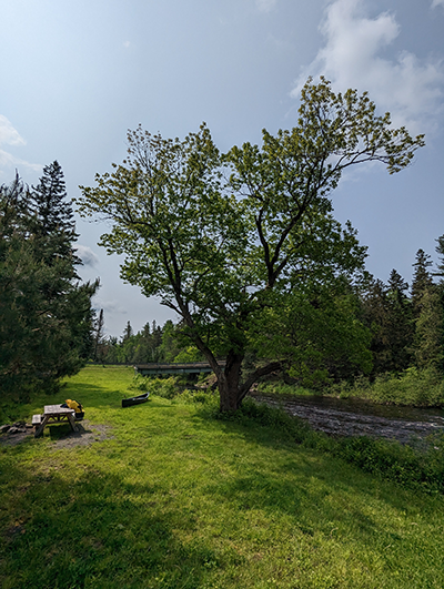 The Seboeis River Put-In on Grand Lake Rd