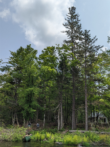Stop at the Snowshoe Lodge along the Seboeis River Trail