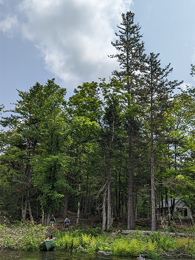 Stop at the Snowshoe Lodge along the Seboeis Riverside Trail