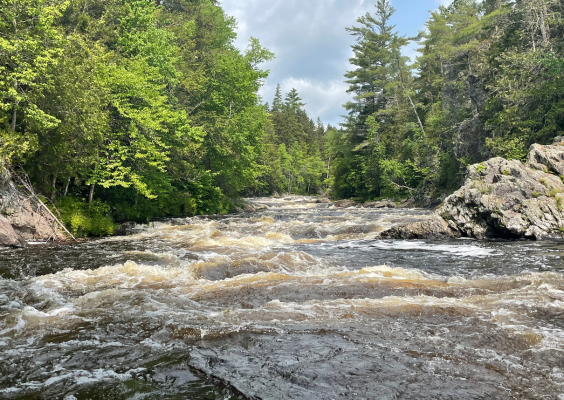 Rushing river flows through a lush green landscape, surrounded by trees under a partly cloudy sky.