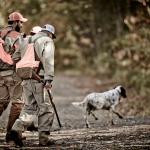 Hunting in Fall - Photo by Dennis Welsh
