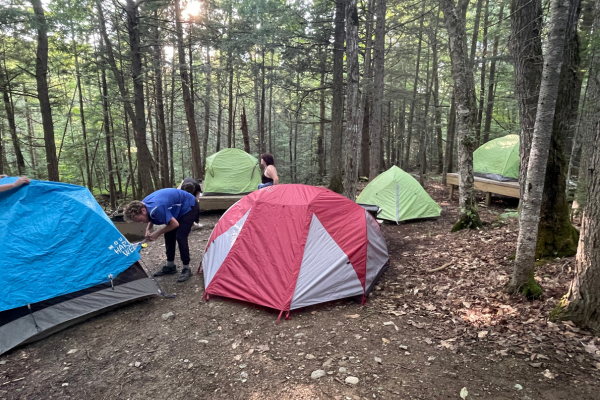 Five tents set up in a wooded campsite with two young people.