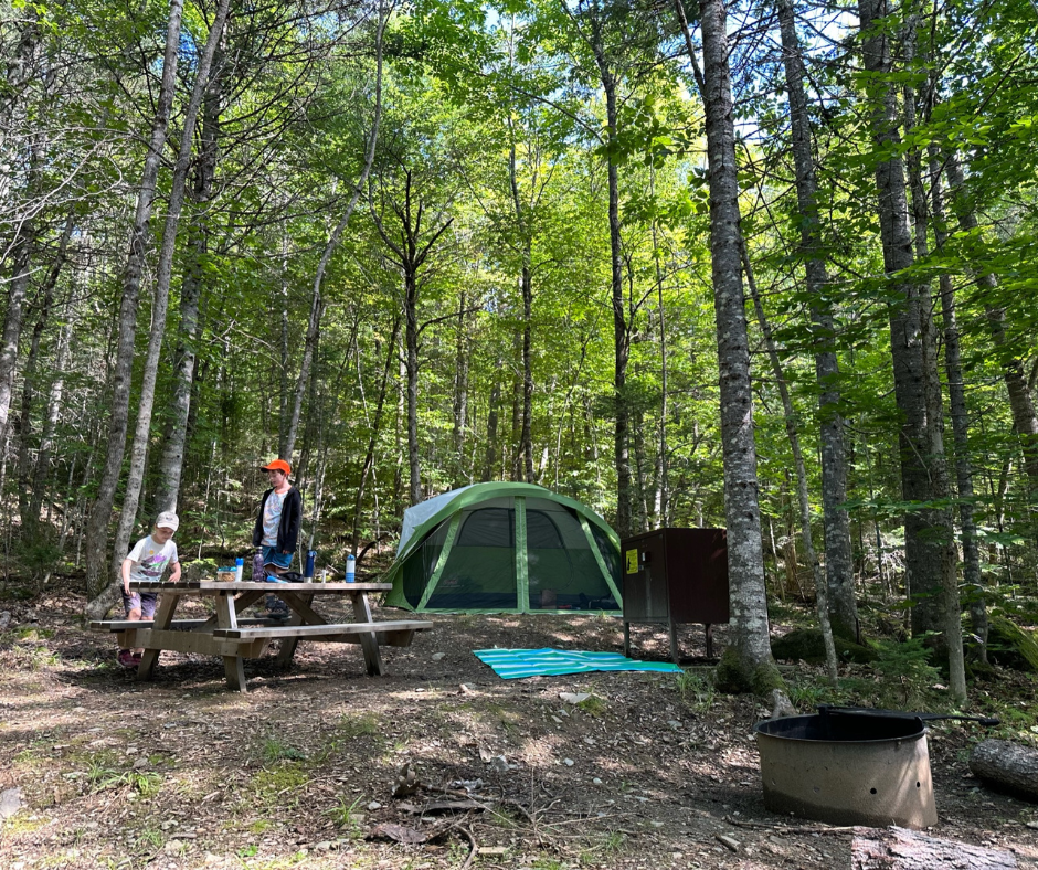 A tent and picnic table in a wooded setting.