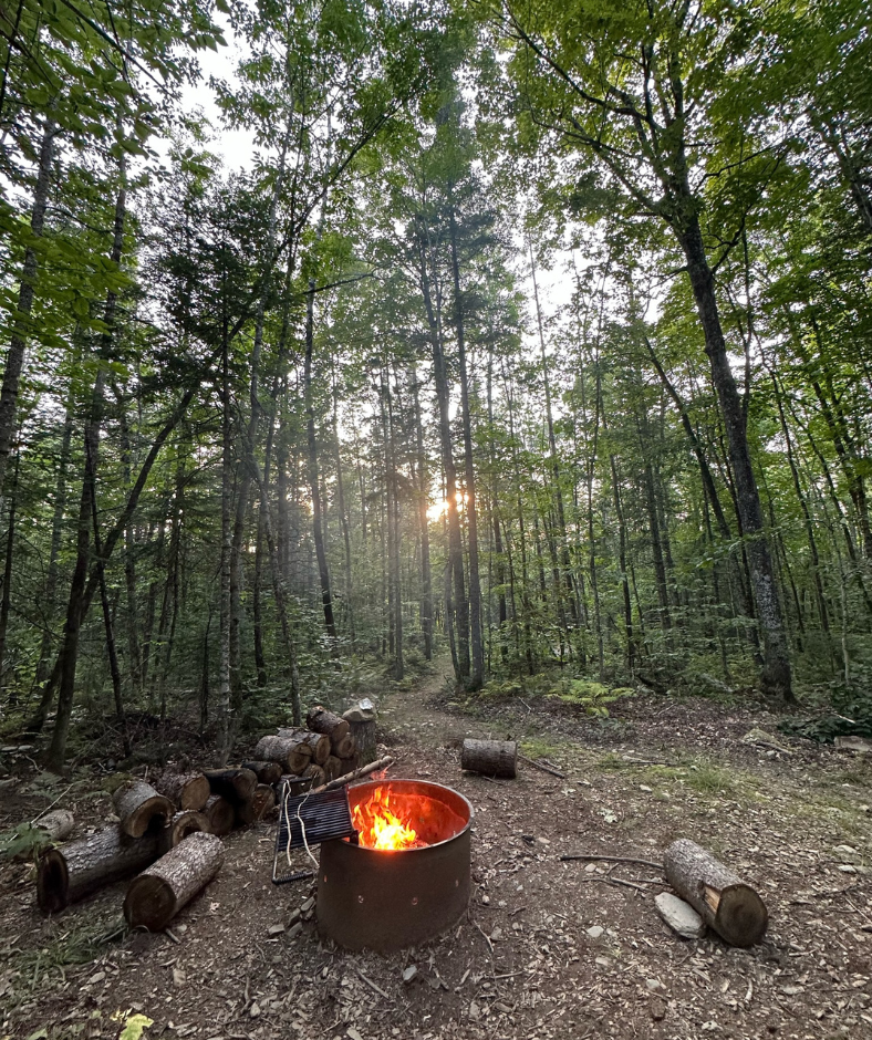 A metal fire ring with a fire in it, in a wooded campsite.