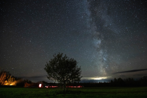 A starry night sky with the Milky Way above a dark field and a solitary tree silhouetted in the foreground.