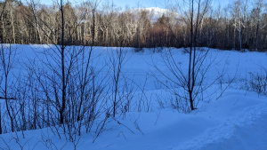 A snowy landscape with mountain in the background.