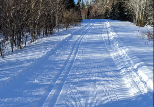 A groomed nordic ski trail.