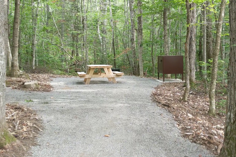 Lunksoos Campground - ADA tent site