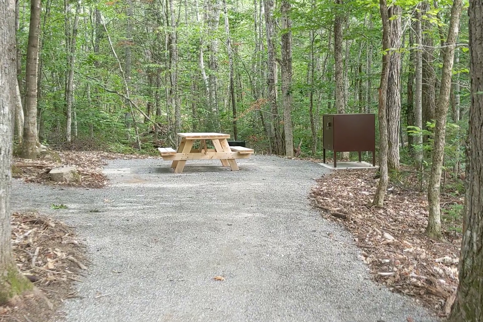 Lunksoos Campground - ADA tent site