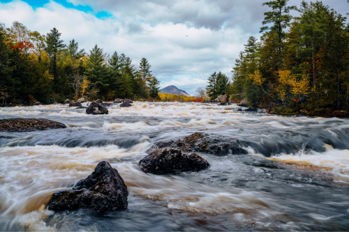 A rushing river flows over rocks, with colorful trees and a distant mountain under a cloudy sky.