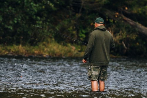 A person stands in shallow water, fishing with a rod, surrounded by greenery and a calm river.