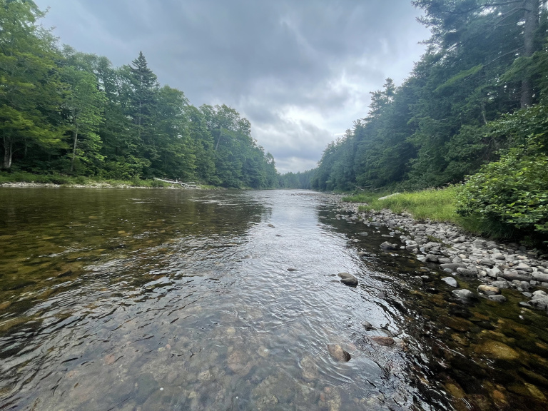 Calm river flowing through a forested area, surrounded by green trees and rocky banks under a cloudy sky.