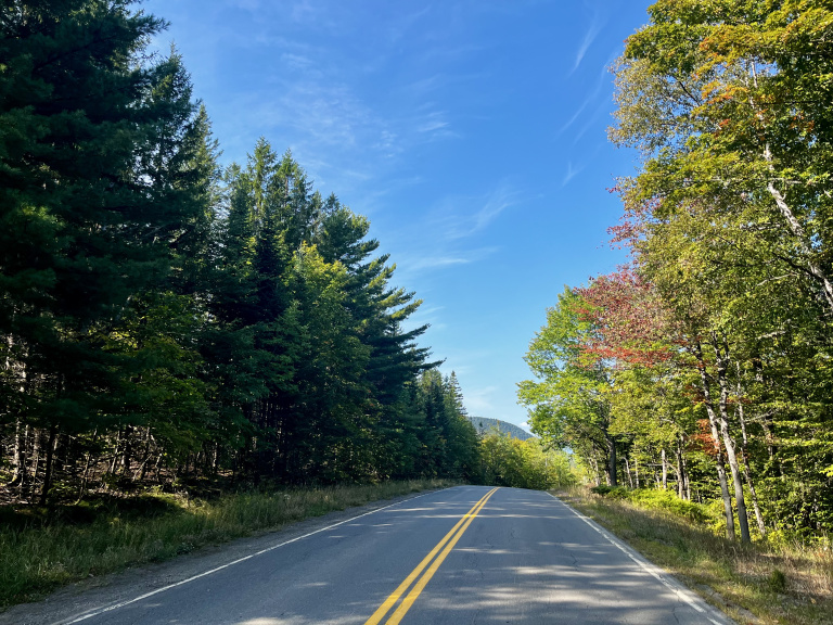 A scenic road lined with trees under a clear blue sky, hints of fall colors on the foliage.