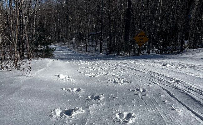 Snowy path in a wooded area with animal tracks and a caution sign ahead warning of a gate.