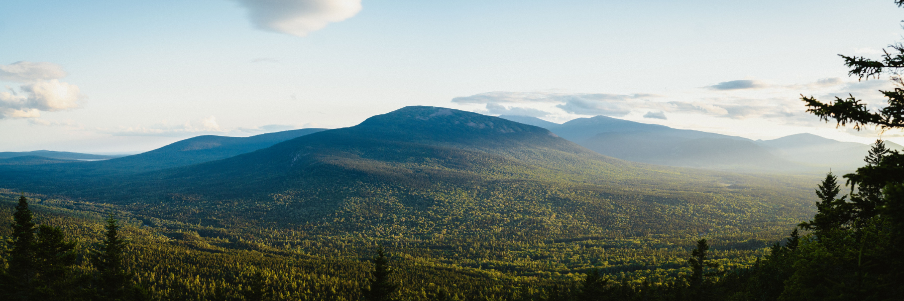 A panoramic landscape with sweeping green mountain range and evergreen trees in the foreground.
