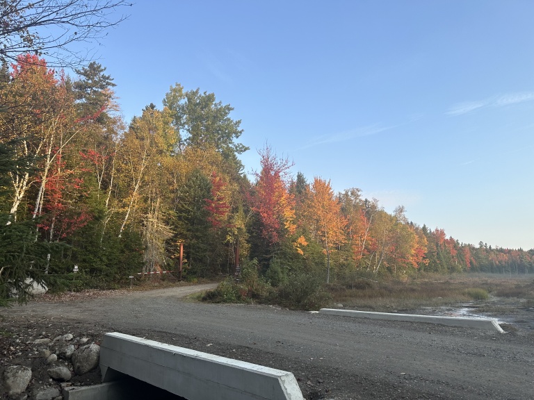 A colorful autumn landscape featuring trees with vibrant red, orange, and yellow leaves alongside a gravel path.