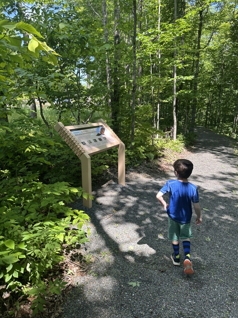 A child walks along a gravel path in a lush green forest, approaching an informative sign.