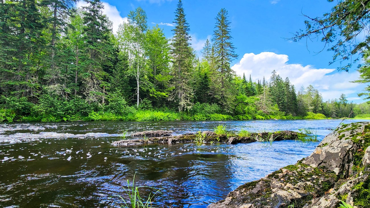 A serene river scene surrounded by lush green trees under a bright blue sky with scattered clouds.