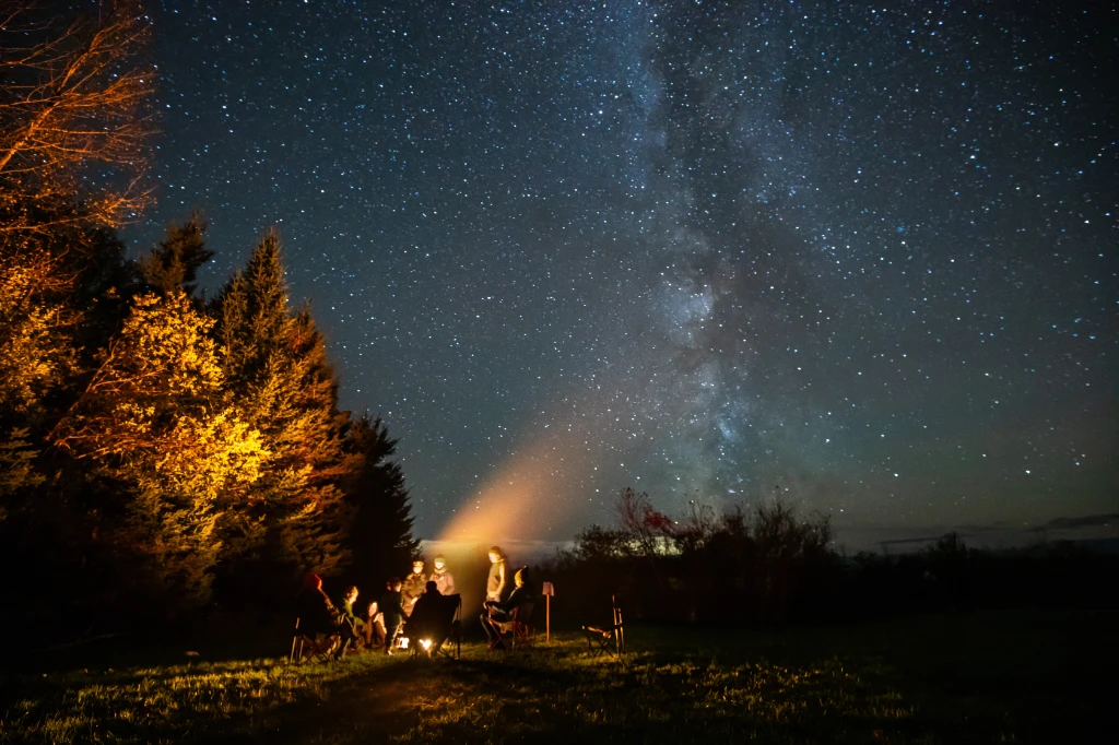 A group of people gathered around a campfire under a starry sky, with trees lit by warm light nearby.