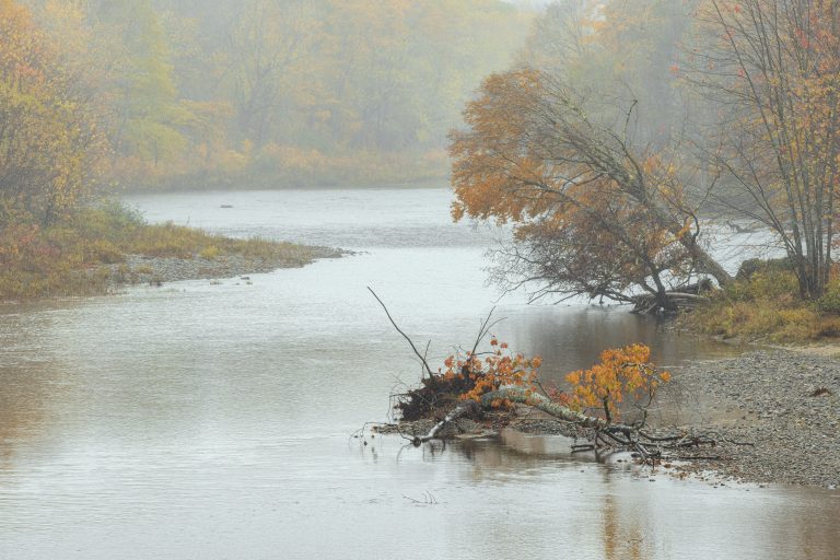 Mist covers a riverbank with orange and yellow trees, reflecting autumn's colors in a tranquil, foggy setting.