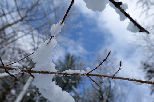 Blue skies and bountiful snow above Katahdin Woods and Waters