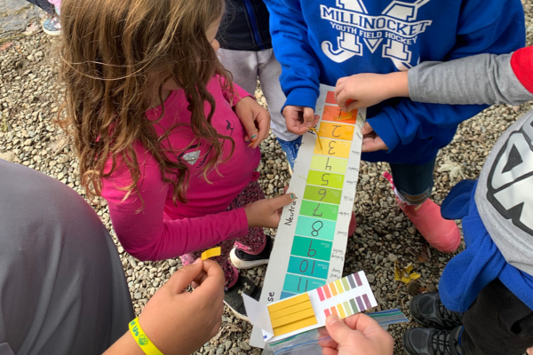 A group of children gather around a colorful water pH test strip.