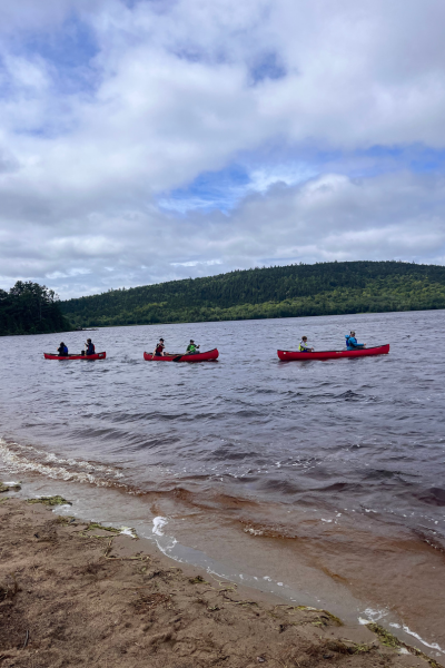 Three red canoes in a lake near shore.