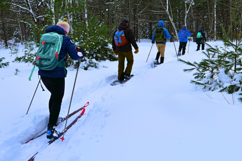 Five people on snowshoes and skis in a line on a snowy trail in the woods.