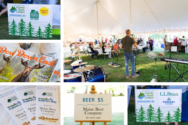 A montage of photos of sponsorship signs and promotional materials.